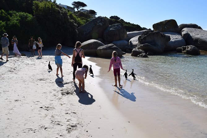 Full day Cape Point + Constantia Wine Tour with Private Transfer - Is $268.41 per person good value?