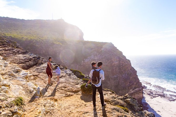 Full day Cape Point + Constantia Wine Tour with Private Transfer - Who should book this Cape Town day trip?