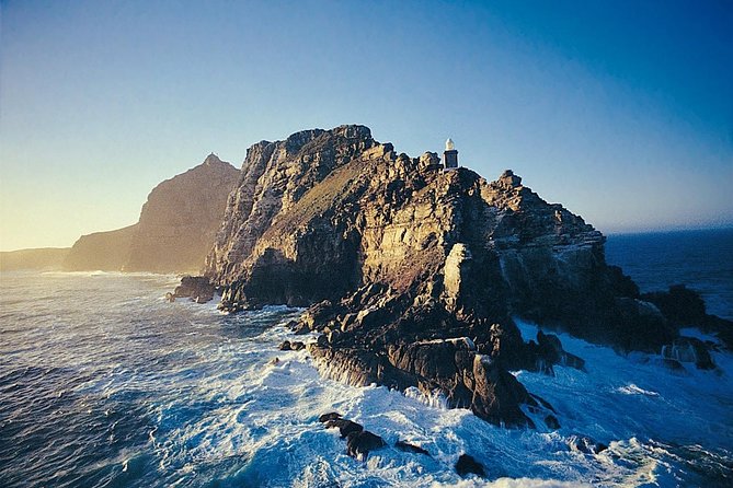 Full Day Cape Point Sightseeing Tour - Boulders Beach is the wildlife highlight