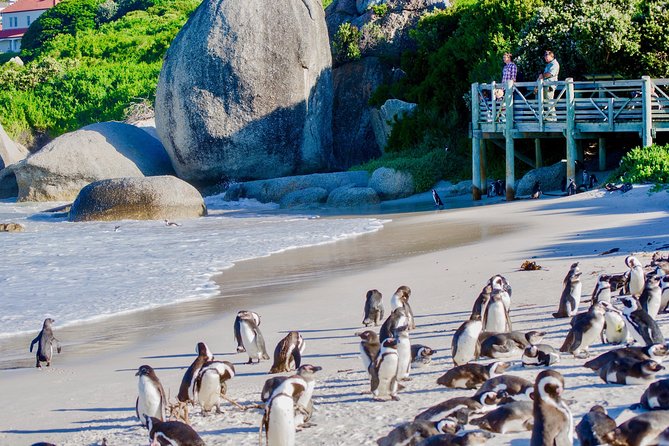 Full Day Cape Point Sightseeing Tour - The return route adds more than empty road time