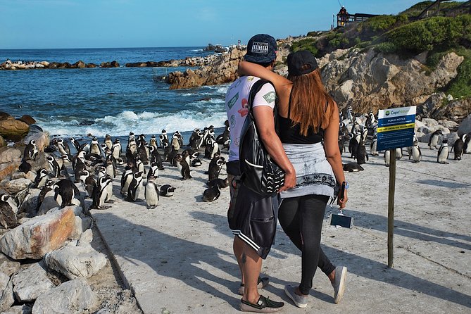 Full-Day Cape Town Private Transfers and Chauffeur Services - Table Mountain and city stops without a fixed route