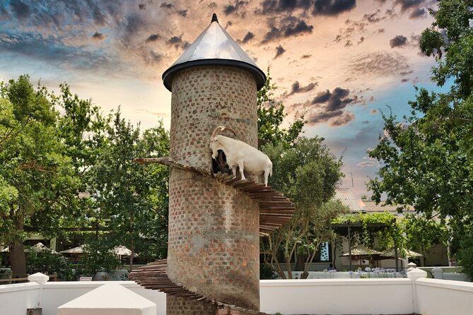 Full Day Cape Winelands Private Tour - What the private format is worth