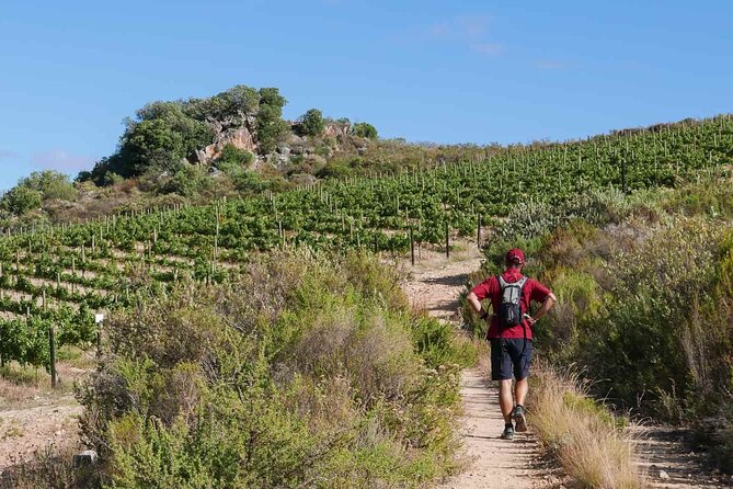 Full-Day Cape Winelands Tour - Key points to know before booking