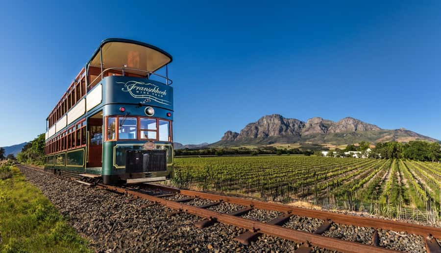 Full Day Cape Winelands Tour: Franschhoek & Stellenbosch - Who should book this Winelands tour?