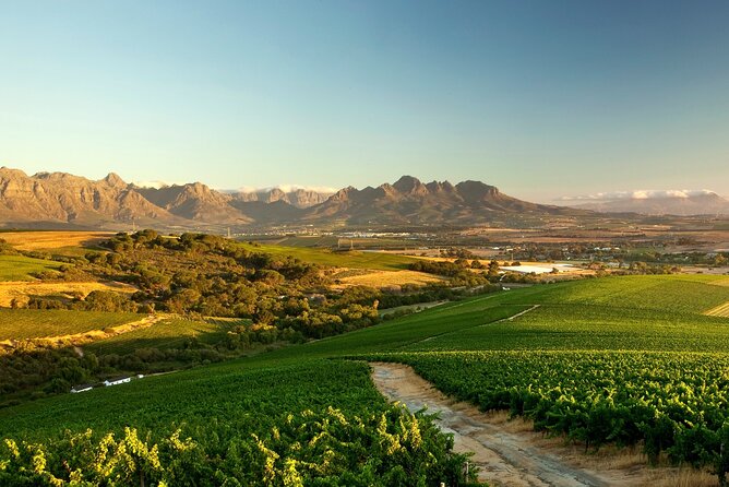 Full-Day Cape Winelands Tour - Stellenbosch: graceful streets and a first taste