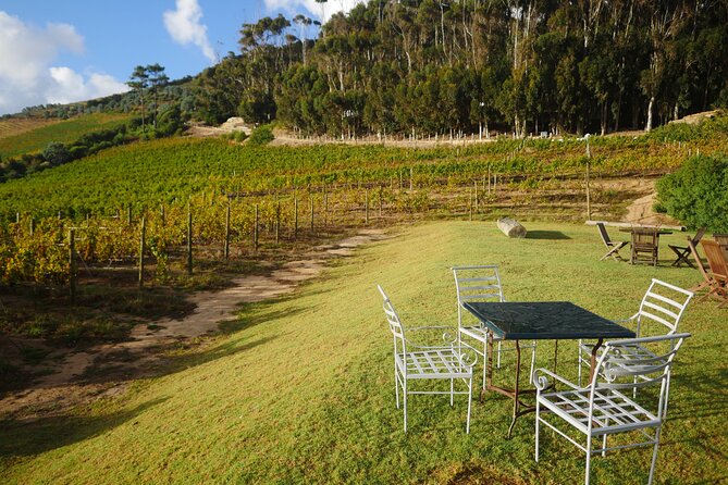 Full-Day Constantia Wine Tour from Cape Town - Guides who add value to the day
