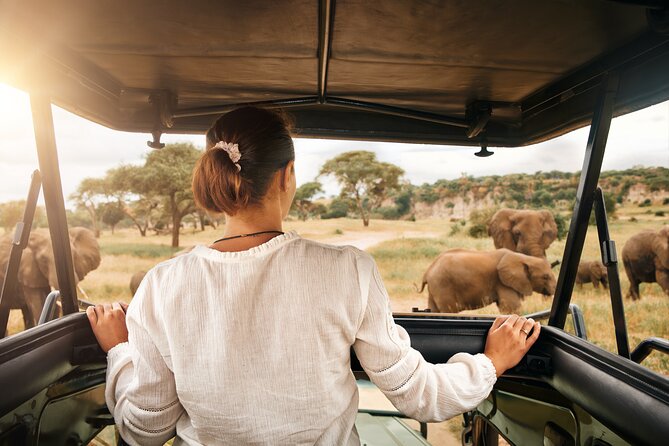Full Day Exquisite Pilanesberg Safari from Johannesburg - Key points at a glance