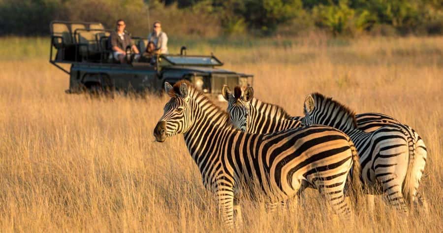 Full Day Hluhluwe Imfolozi Game Reserve Tour from Durban - The white rhino conservation story