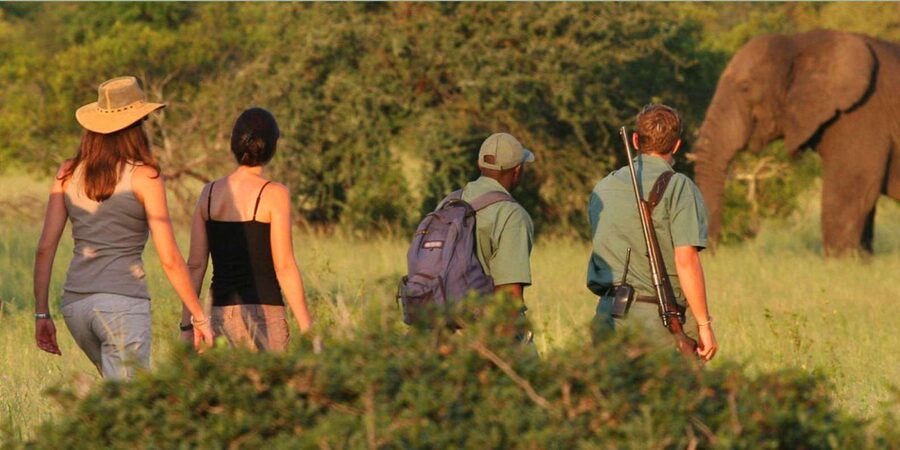 Full Day Hluhluwe Imfolozi Game Reserve Tour from Durban - Benson, the reserve guide, and the human side of the day