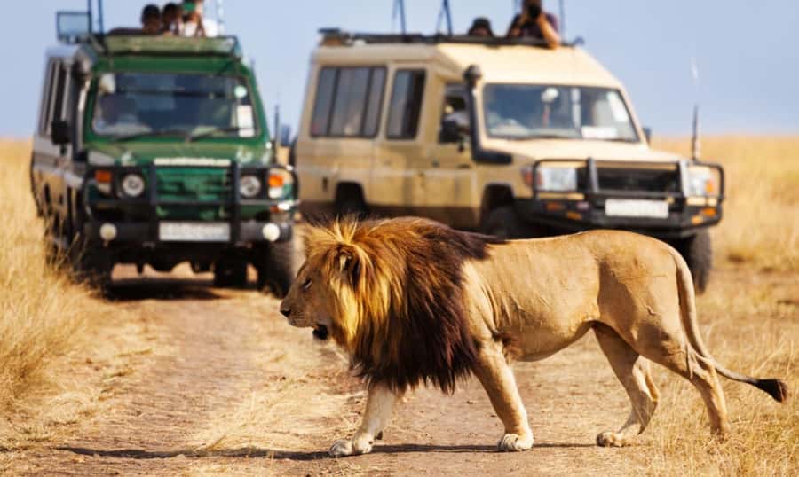 Full Day Hluhluwe Imfolozi Game Reserve Tour from Durban - Entering South Africa’s oldest park