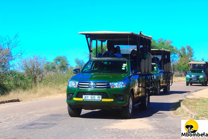 Full-Day Kruger Park Safari from Nelspruit, Whiteriver or Hazyview - What the open vehicle adds
