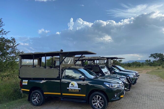 Full-Day Kruger Park Safari from Nelspruit, Whiteriver or Hazyview - A day built around patience, not scheduled attractions