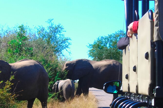 Full-Day Kruger Park Safari from Nelspruit, Whiteriver or Hazyview - Food, water, and what to budget