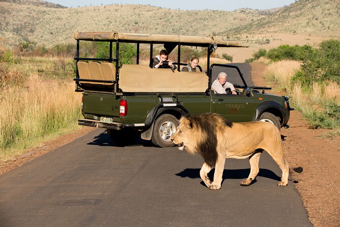 Full Day Pilanesberg Experience in Open Vehicle - Is the $137.74 price good value?