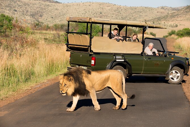 Full Day Pilanesberg Experience in Open Vehicle - Who should book this day trip?