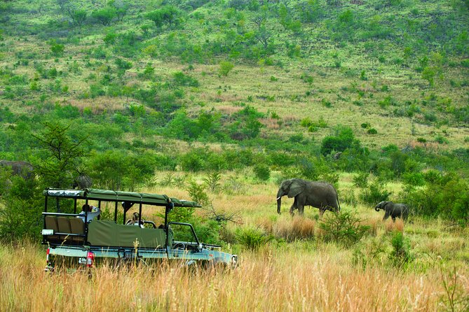 Full Day Pilanesberg Safari Adventure - The afternoon drive: another 1.5 to 2 hours