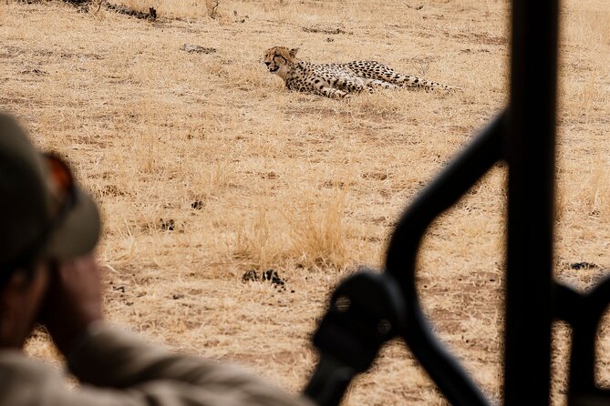 Full Day Pilanesberg Safari Adventure - Who should book this safari?