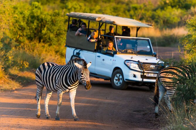 Full Day Pilanesberg Safari Adventure - The morning drive: two to three hours in an open vehicle