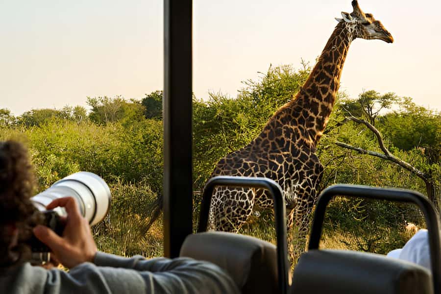 Full-Day Pilanesberg Safari from Sun City - The short road from Sun City to the reserve