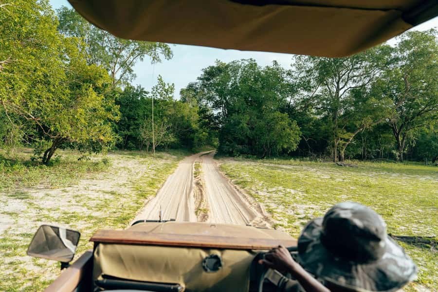 Full-Day Pilanesberg Safari from Sun City - Lunch at Pilanesberg Centre