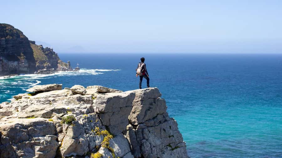 Full-Day Private: Best of the Cape - Why this private Cape Town day works
