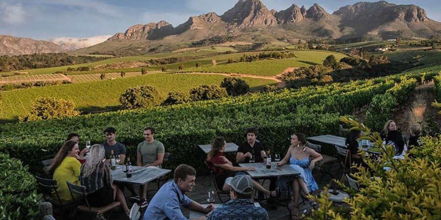 Full-Day Private: Best of the Cape - What $155 per person really buys