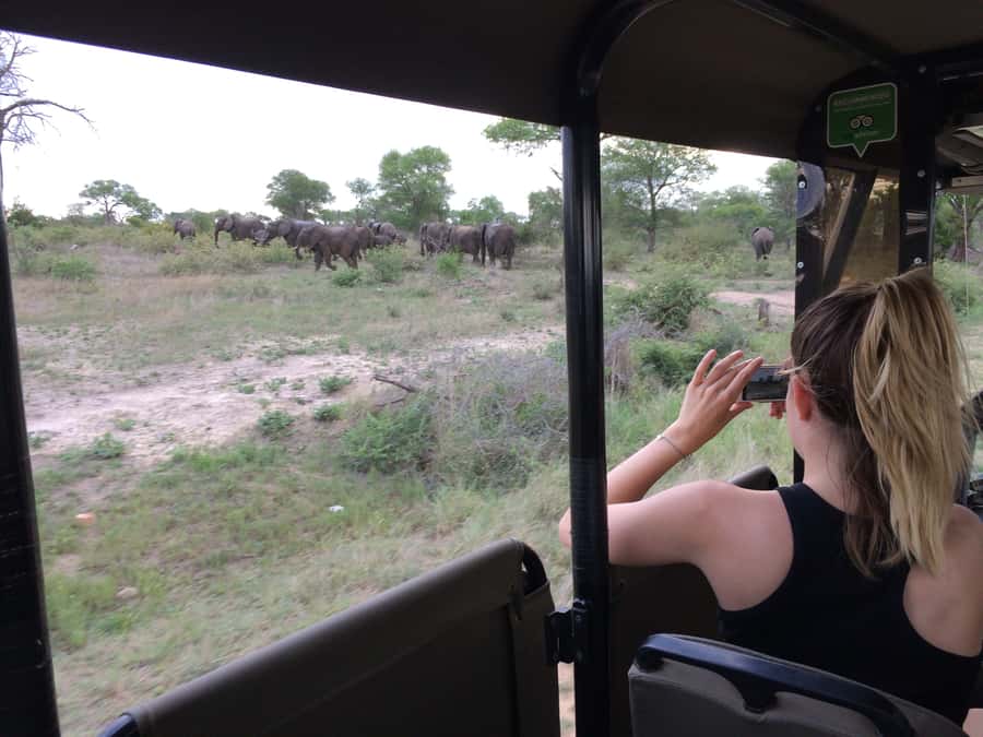 Full-Day Private Big 5 Safari in Kruger National Park - Open-sided views and a guide who adjusts the plan