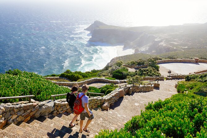 Full Day Private Cape Highlights - Transport, timing, and the real price