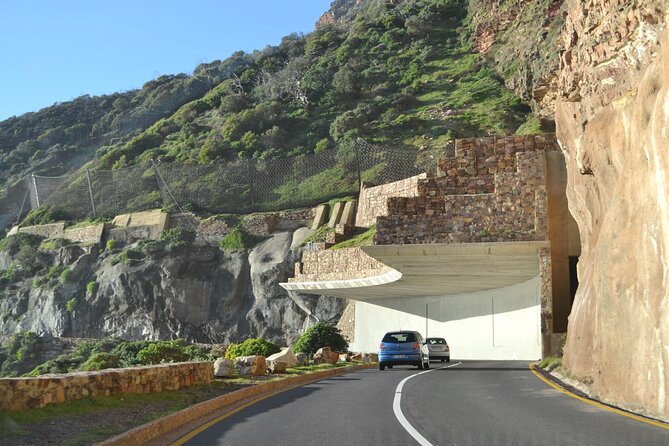 Full Day Private Cape Peninsula and Boulders Beach Tour - From Cape Town to False Bay