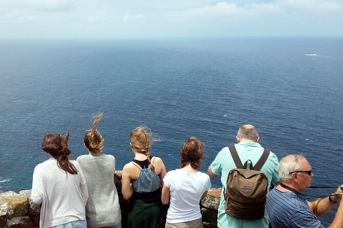 Full-Day Private Cape Peninsula Tour - Cape Point and the Cape of Good Hope