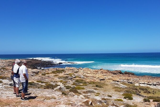Full-Day Private Cape Peninsula Tour - Muizenberg, shark spotting, and Hout Bay