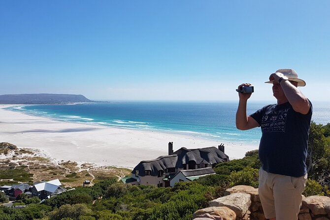 Full-Day Private Cape Peninsula Tour - Table Mountain views without a cable-car promise