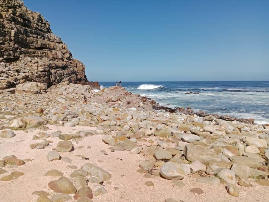 Full-Day Private Excursion: Cape of Good Hope and Penguins - Who should book this day trip