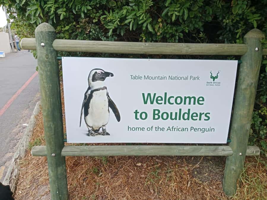 Full-Day Private Excursion: Cape of Good Hope and Penguins - The Cape of Good Hope and a common geographic misunderstanding