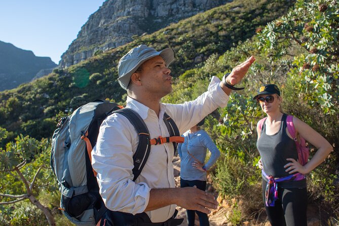 Full Day Private Hiking Table Mountain & City - A mountain morning above Cape Town