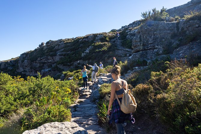Full Day Private Hiking Table Mountain & City - The cable car and the weather question