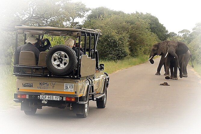 Full Day Private Kruger Park Safari - Why the early start matters in Kruger