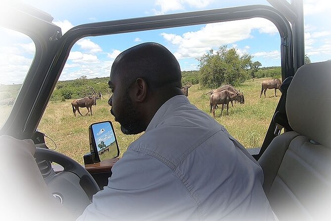 Full Day Private Kruger Park Safari - 2:30 PM, afternoon game viewing