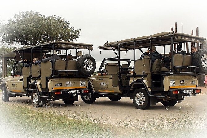 Full Day Private Kruger Park Safari - A private safari with room to focus