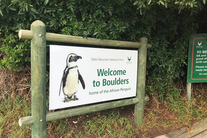 Full Day Private Tour of the Cape Peninsula and Boulders Penguins - The old Cape Point lighthouse