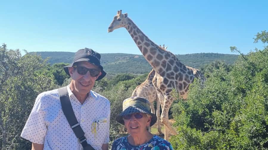 Full-Day Schotia Game Reserve & Giraffe Walk (Open 4x4) - Four hours among Schotia’s wildlife