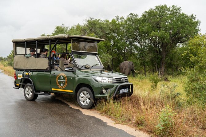 Full-Day Shared Kruger National Park Safari from Hoedspruit - Open vehicle views and a group of up to nine