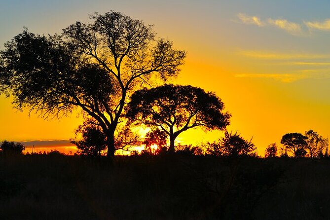 Full-Day Shared Kruger National Park Safari from Hoedspruit - The guide can shape the whole day