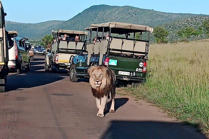Full-Day Shared Kruger National Park Safari from Hoedspruit - Coffee around 8:00 am, then a slower middle of the day