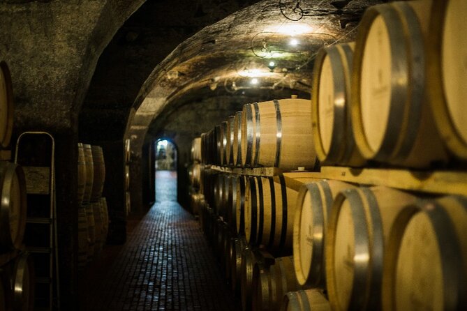 Full Day Small Group Wine Tour Cape Town and Stellenbosch - Why this Stellenbosch day works well