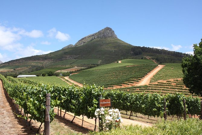 Full-Day Stellenbosch, Franschhoek and Paarl Wine Tasting Tour from Cape Town - Franschhoek and the old wine tram