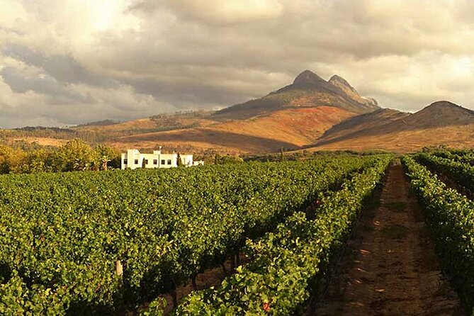 Full Day Stellenbosch Paarl and Franschhoek Private Wine Tour - Franschhoek adds polished estates and food pairings