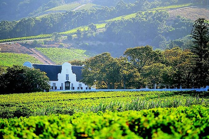 Full Day Stellenbosch Paarl and Franschhoek Private Wine Tour - Lunch, tastings, and the real cost
