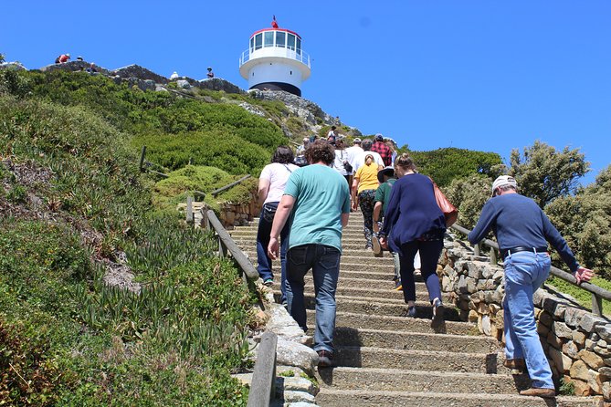 Full-Day Tour to Cape Point and Cape of Good Hope - Cape of Good Hope: open country and wild animals