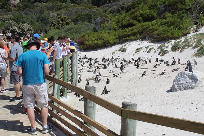 Full-Day Tour to Cape Point and Cape of Good Hope - Cape Point lighthouse: the best hour of the day